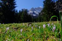 LAN_20160505_5207