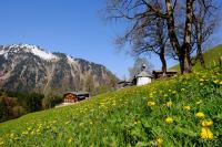 LAN_20160505_5407
