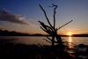 LAN_20160526_5580