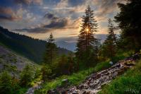 LAN_20160701_5972-5974