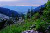 LAN_20160701_5982-5984