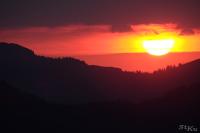 LAN_20160701_5993