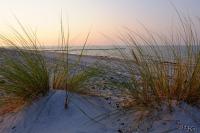 LAN_20160911_6814_1