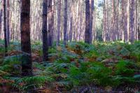 LAN_20160911_6834