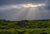 LAN_20161016_0668-0670