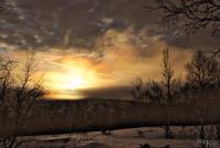 LAN_20170201_8017_1