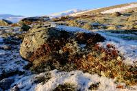 LAN_20170201_8064