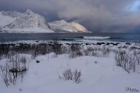 LAN_20170317_8917
