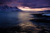 LAN_20170317_9195