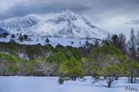 LAN_20170317_9568-9570