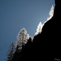 LAN_20170527_9837_1