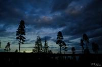 LAN_20190909_1452