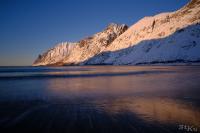 LAN_20200303_1769