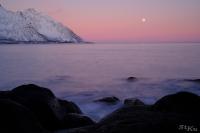 LAN_20200308_3015