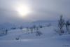 LAN_20200308_8278