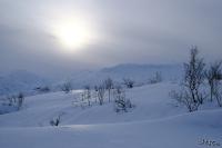 LAN_20200308_8278
