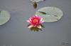 PFL_20110623_0012