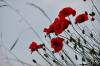 PFL_20120601_6744_2