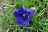 PFL_20120607_7187