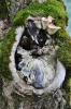 PFL_20120607_7303