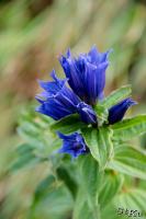 PFL_20120918_9446_1