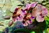 PFL_20120925_0171_1