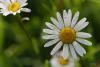 PFL_20140607_1826_1