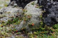 PFL_20140731_6703_1