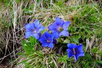 PFL_20160609_5858