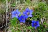 PFL_20160609_5858