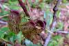 PFL_20180603_3920