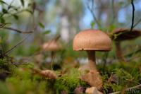 PFL_20190907_7683
