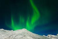 POL_20130125_0956_1