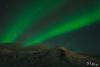 POL_20140205_8177_1