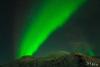 POL_20140205_8180_1