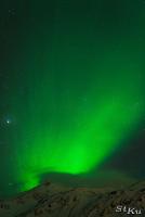 POL_20140205_8216_1