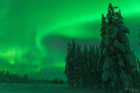POL_20150110_9205_1