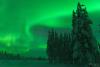 POL_20150110_9205_1