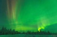POL_20150110_9211_1
