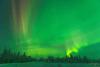 POL_20150110_9211_1