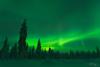 POL_20150110_9228_1
