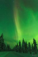 POL_20150110_9239_1