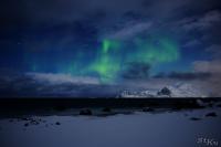 POL_20160118_2354