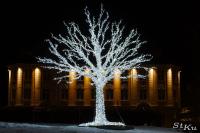 SON_20140205_8685_1
