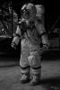 SON_20160821_6483_2
