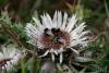 TIR_20120918_9248_1