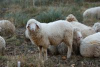 TIR_20121119_0321_1