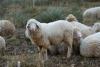 TIR_20121119_0321_1