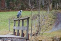 TIR_20121119_0404_1