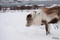 TIR_20130125_1105_1